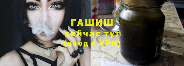 стаф Аркадак