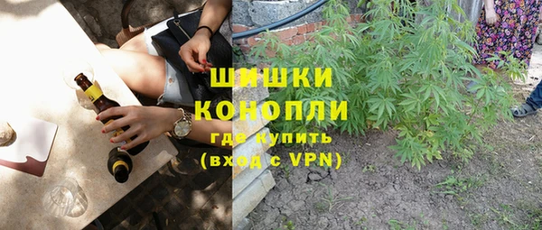 стаф Аркадак