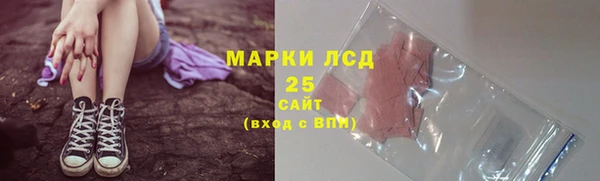 стаф Аркадак