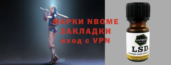 стаф Аркадак