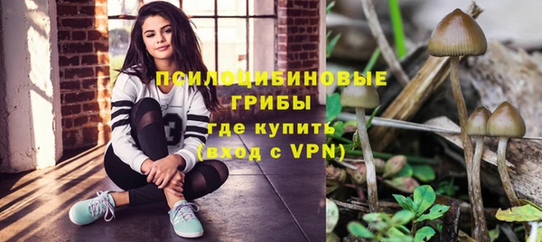 стаф Аркадак