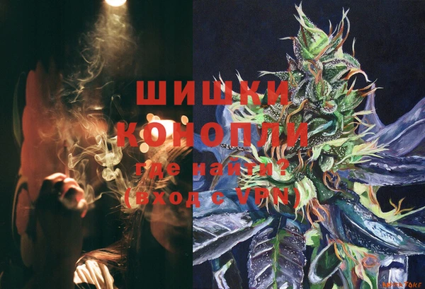 твердый Надым