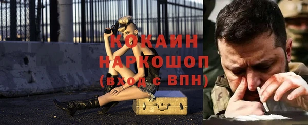 стаф Аркадак