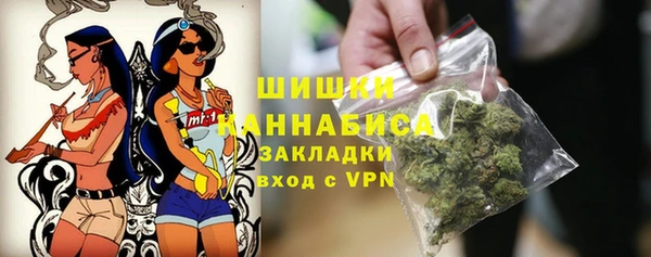 стаф Аркадак