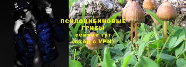 кокс Арсеньев